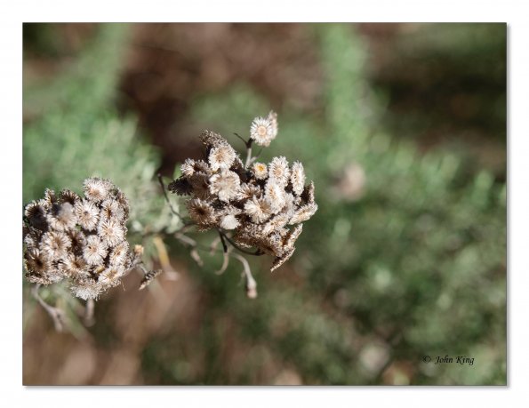 Lerderderg Gorge SP 23 May 2012