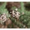 View the image: Lerderderg Gorge SP 23 May 2012