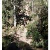 View the image: Lerderderg Gorge SP 23 May 2012