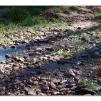 View the image: Lerderderg Gorge SP 23 May 2012