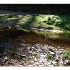 View the image: Lerderderg Gorge SP 23 May 2012