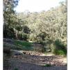 View the image: Lerderderg Gorge SP 23 May 2012