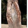 View the image: Lerderderg Gorge SP 23 May 2012