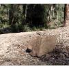 View the image: Lerderderg Gorge SP 23 May 2012